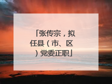 张传宗，拟任县（市、区）党委正职