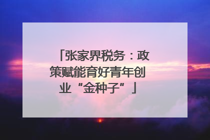 张家界税务：政策赋能育好青年创业“金种子”