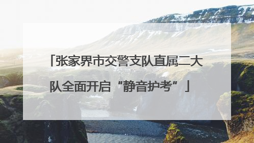 张家界市交警支队直属二大队全面开启“静音护考”