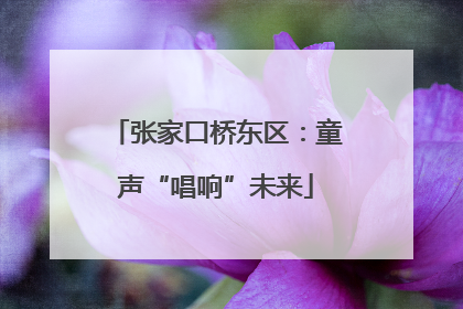 张家口桥东区：童声“唱响”未来
