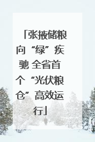 张掖储粮向“绿”疾驰 全省首个“光伏粮仓”高效运行