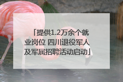 提供1.2万余个就业岗位 四川退役军人及军属招聘活动启动