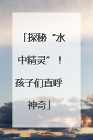 探秘“水中精灵”！孩子们直呼神奇