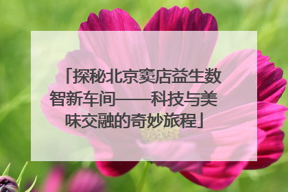 探秘北京窦店益生数智新车间——科技与美味交融的奇妙旅程