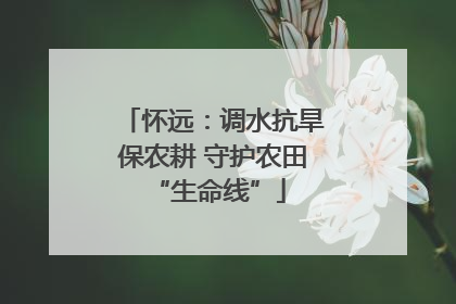 怀远：调水抗旱保农耕 守护农田 “生命线”