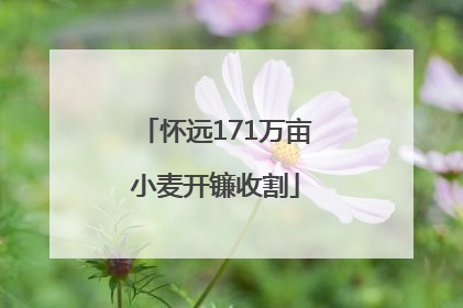 怀远171万亩小麦开镰收割
