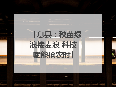 息县：秧苗绿浪接麦浪 科技赋能抢农时