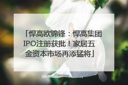 悍高欧锦锋：悍高集团IPO注册获批！家居五金资本市场再添猛将