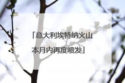 意大利埃特纳火山本月内再度喷发