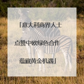 意大利商界人士点赞中欧绿色合作蕴藏黄金机遇