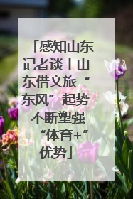 感知山东记者谈丨山东借文旅“东风”起势 不断塑强“体育+”优势