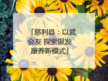 慈利县：以武会友 探索银发康养新模式