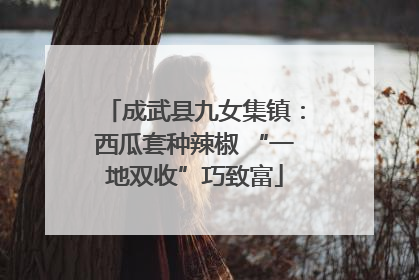 成武县九女集镇：西瓜套种辣椒 “一地双收”巧致富