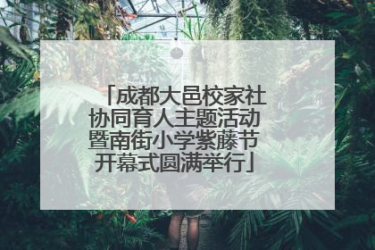 成都大邑校家社协同育人主题活动暨南街小学紫藤节开幕式圆满举行