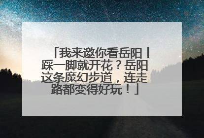 我来邀你看岳阳丨踩一脚就开花？岳阳这条魔幻步道，连走路都变得好玩！