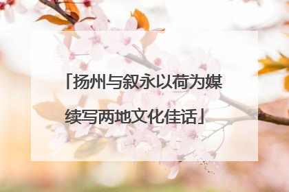 扬州与叙永以荷为媒续写两地文化佳话