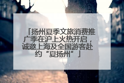 扬州夏季文旅消费推广季在沪上火热开启，诚邀上海及全国游客赴约“夏扬州”