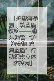 护碧海净浪，筑蓝盾铁壁——浦东海警“沪海安澜·碧海蓝盾”行动织密立体防控网