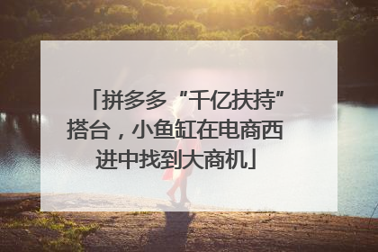 拼多多“千亿扶持”搭台，小鱼缸在电商西进中找到大商机