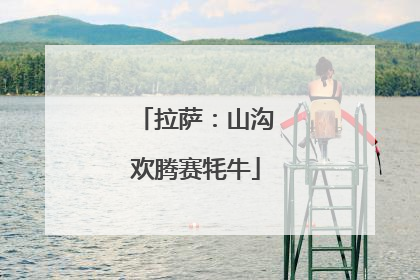 拉萨：山沟欢腾赛牦牛