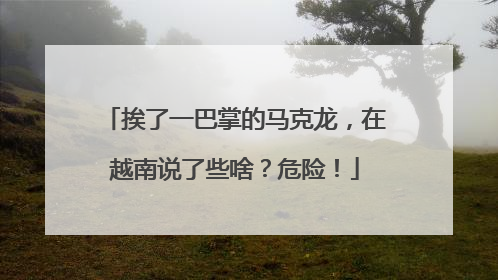 挨了一巴掌的马克龙，在越南说了些啥？危险！