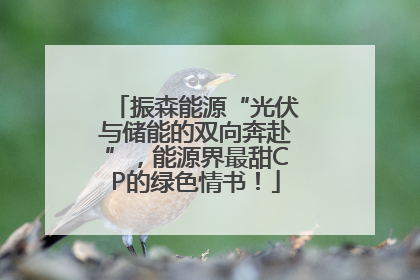 振森能源“光伏与储能的双向奔赴”，能源界最甜CP的绿色情书！
