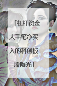 杠杆资金大手笔净买入的科创板股曝光