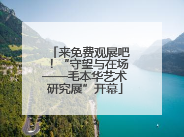 来免费观展吧！“守望与在场——毛本华艺术研究展”开幕