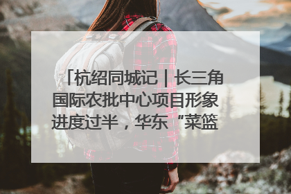 杭绍同城记｜长三角国际农批中心项目形象进度过半，华东“菜篮子”建设加码提速！