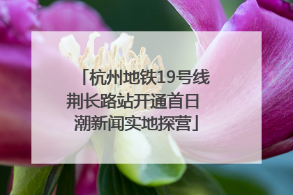 杭州地铁19号线荆长路站开通首日 潮新闻实地探营