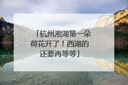 杭州湘湖第一朵荷花开了！西湖的还要再等等