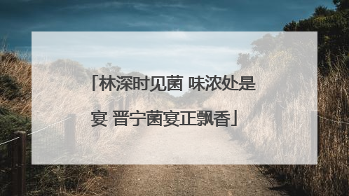 林深时见菌 味浓处是宴 晋宁菌宴正飘香