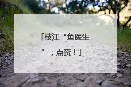 枝江“鱼医生”，点赞！