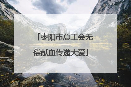 枣阳市总工会无偿献血传递大爱