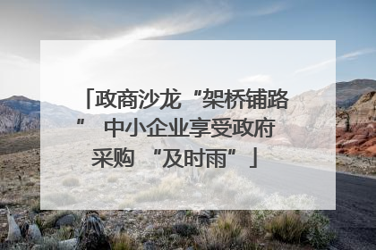政商沙龙“架桥铺路” 中小企业享受政府采购 “及时雨”