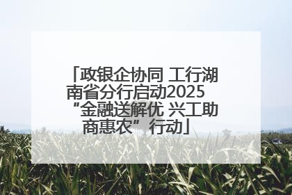政银企协同 工行湖南省分行启动2025“金融送解优 兴工助商惠农”行动