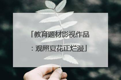 教育题材影视作品：观照夏花正烂漫