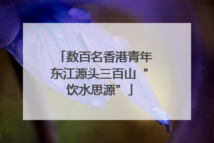 数百名香港青年东江源头三百山“饮水思源”