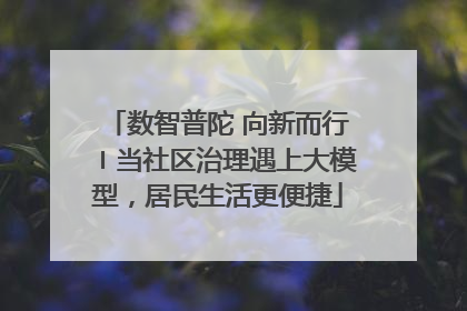 数智普陀 向新而行〡当社区治理遇上大模型，居民生活更便捷