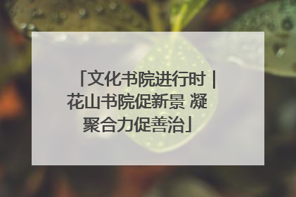 文化书院进行时｜花山书院促新景 凝聚合力促善治