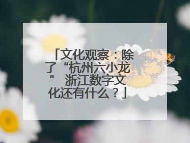 文化观察：除了“杭州六小龙” 浙江数字文化还有什么？