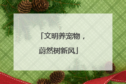 文明养宠物，蔚然树新风