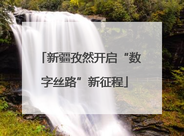 新疆孜然开启“数字丝路”新征程