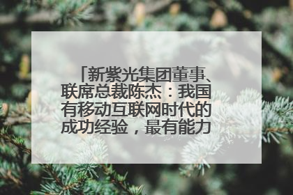新紫光集团董事、联席总裁陈杰：我国有移动互联网时代的成功经验，最有能力做好AI应用创新