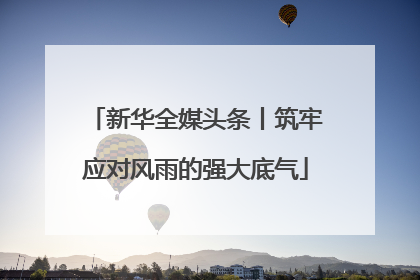 新华全媒头条丨筑牢应对风雨的强大底气
