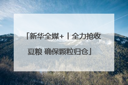 新华全媒+丨全力抢收夏粮 确保颗粒归仓