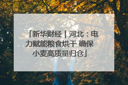 新华财经｜河北：电力赋能粮食烘干 确保小麦高质量归仓