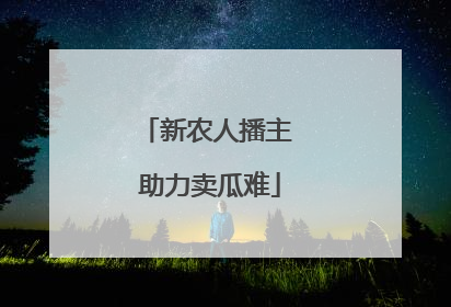 新农人播主 助力卖瓜难