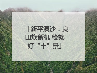 新平漠沙：良田焕新机 绘就好“丰”景