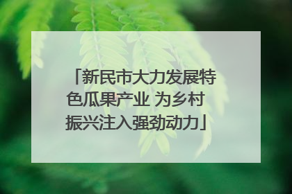 新民市大力发展特色瓜果产业 为乡村振兴注入强劲动力